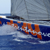 decorazione barche