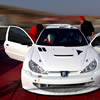 decorazione per lo Sport